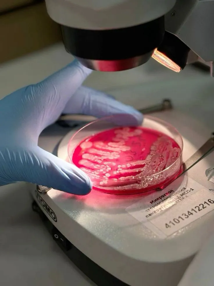 Microbiology Technologist